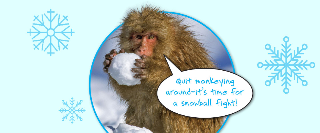 Monkey eating snowball. Text reads: Quit monkeying around- it&apos;s time for a snowball fight!