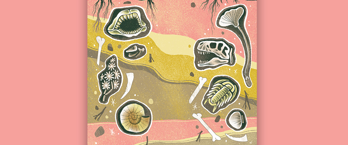 Illustration of layers of sediment showing dinosaur fossils