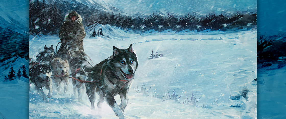 Illustration of sled dogs in the snow